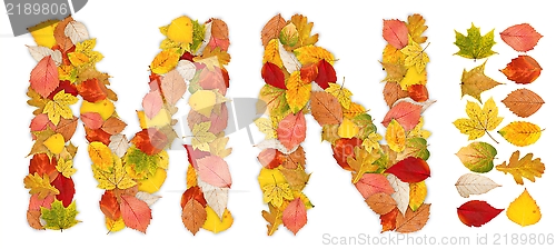Image of Characters M and N made of autumn leaves