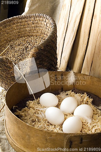 Image of eggs