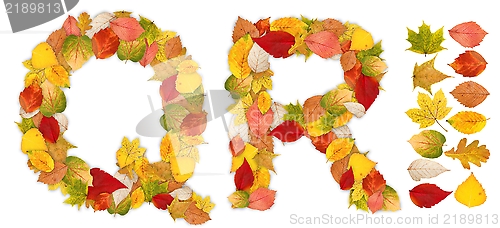 Image of Characters Q and R made of autumn leaves