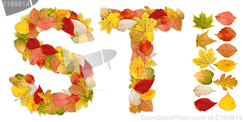 Image of Characters S and T made of autumn leaves