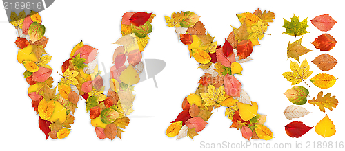 Image of Characters W and X made of autumn leaves