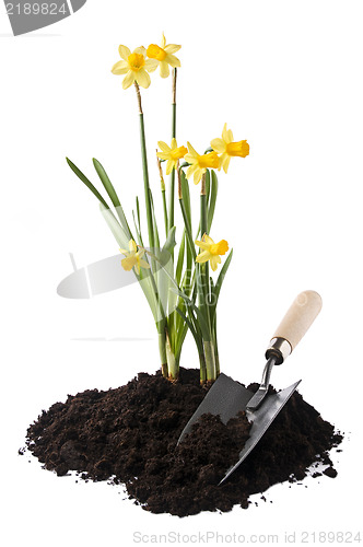 Image of Gardening