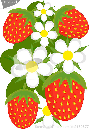 Image of Strawberries background