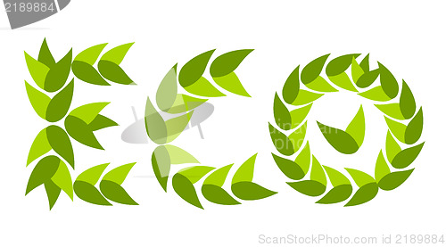 Image of Vector eco word