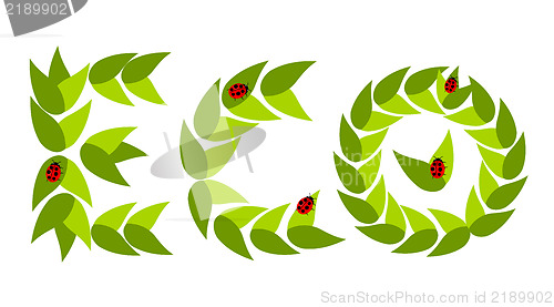 Image of Eco leaves with ladybugs