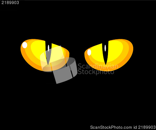 Image of Cat yellow eyes