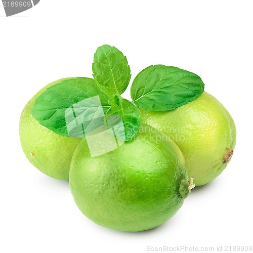Image of Lime