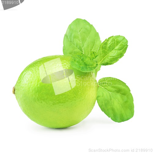 Image of Lime