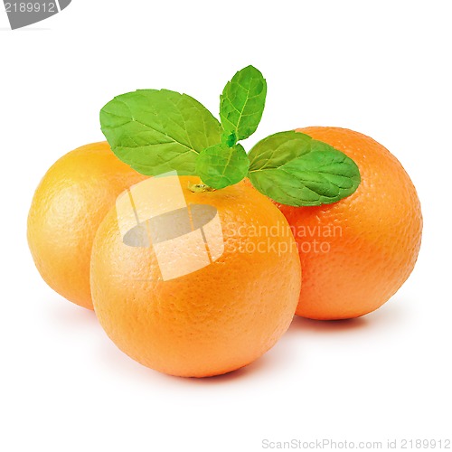 Image of Mandarins