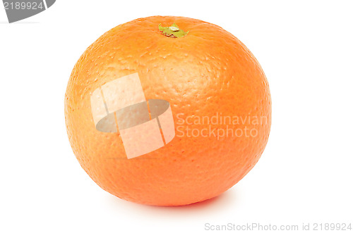 Image of Mandarin