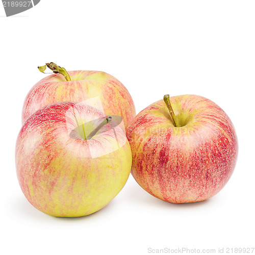 Image of Apples