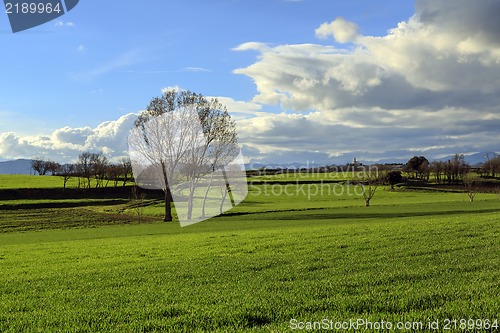 Image of Catalan countryside, early spring. Spain