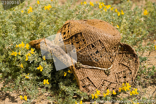Image of The joy of spring