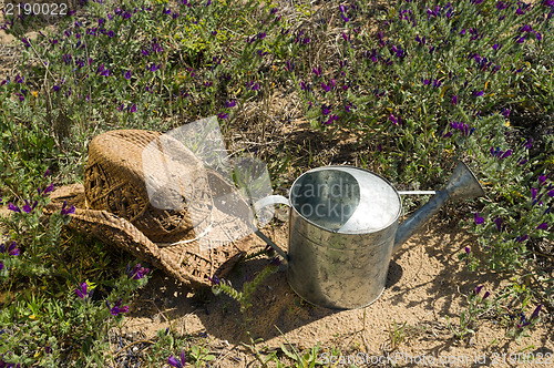 Image of Gardening stil life