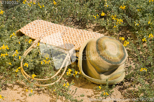 Image of Springtime