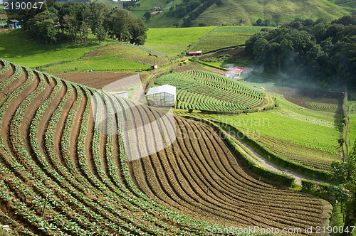 Image of Agricultural terraces