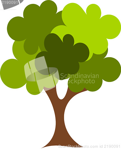 Image of Oak tree