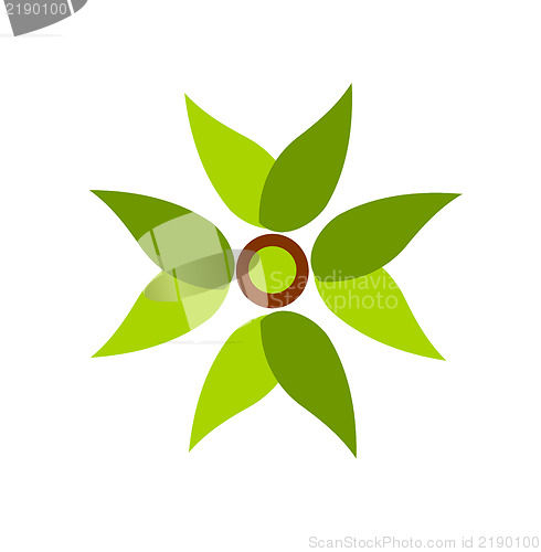 Image of Leaf fan