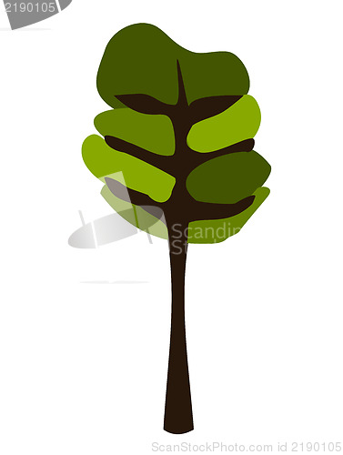 Image of deciduous tree