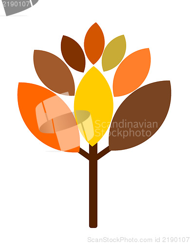 Image of Fall tree