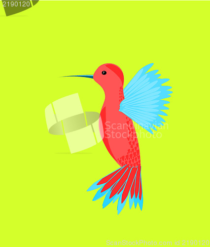 Image of Hummingbird