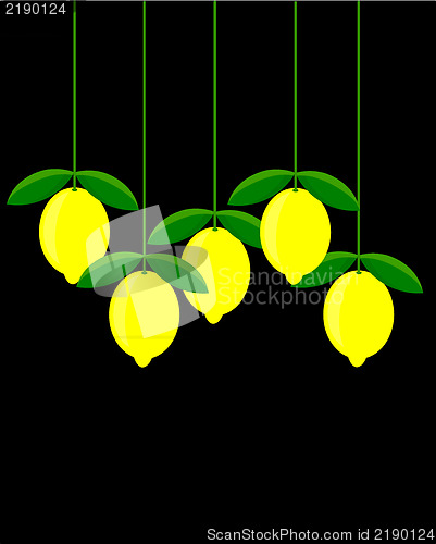 Image of Lemon picture