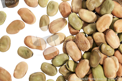 Image of fava (broad) beans