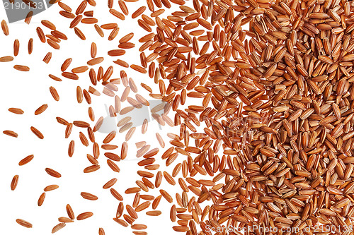 Image of brown rice grain