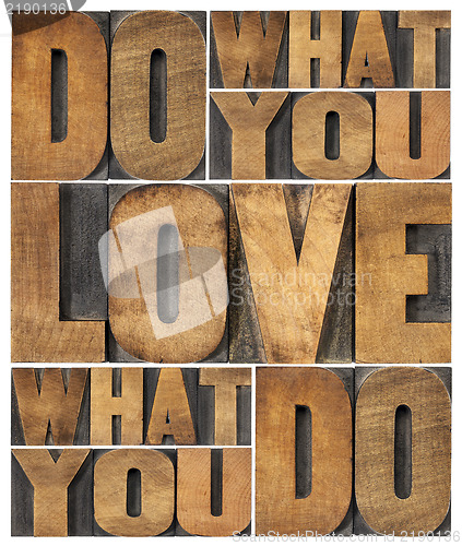 Image of do what you love
