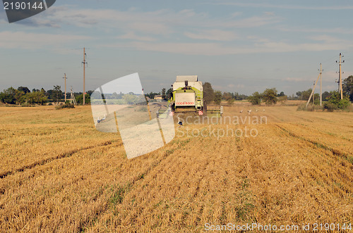 Image of combine machine agriculture field stork bird 
