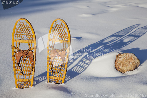 Image of Bear Paw classic snowshoes