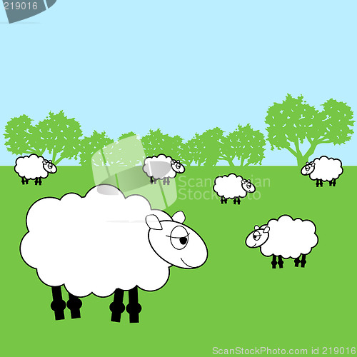 Image of sheep