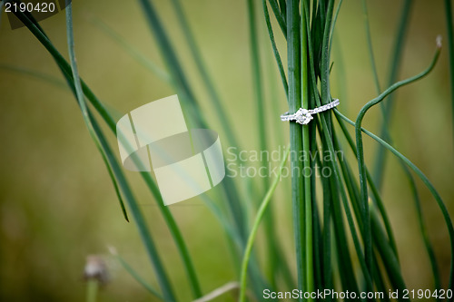 Image of Diamond Engagement Ring in the Grass