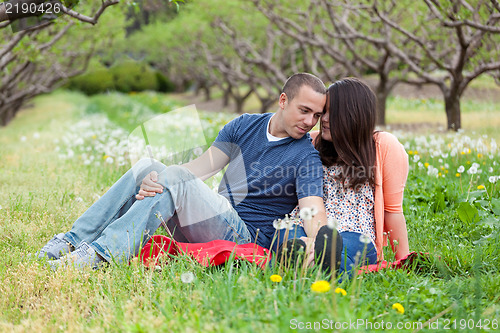 Image of Loving Couple During Spring