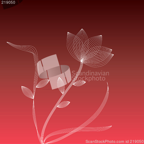 Image of White flower on a red background