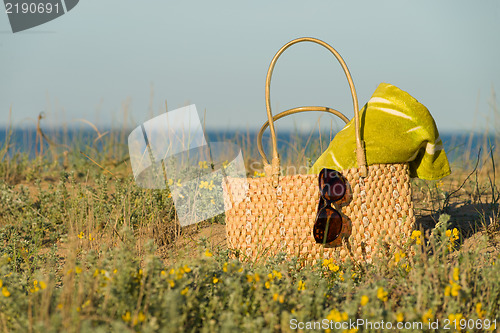 Image of Outdoors spring still life