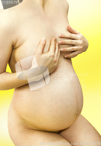 Image of pregnancy