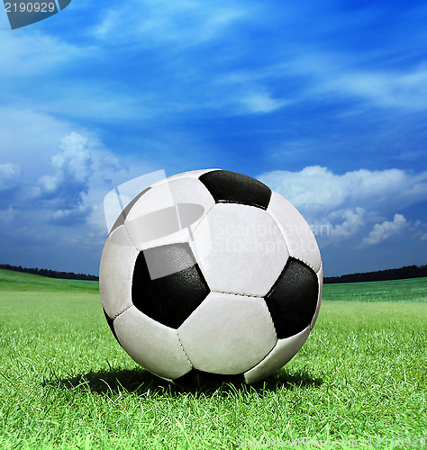 Image of soccer ball on green grass