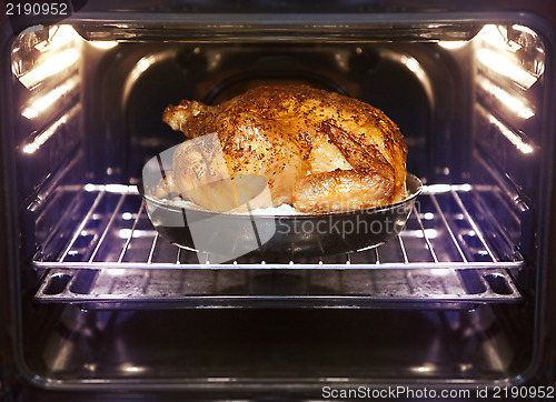 Image of turkey is baked in oven