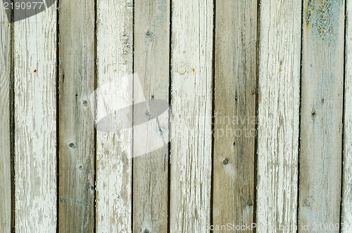 Image of grunge wood wall background