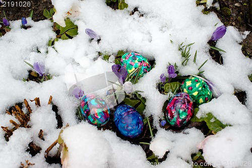 Image of Colorful Easter eggs in snowy garden