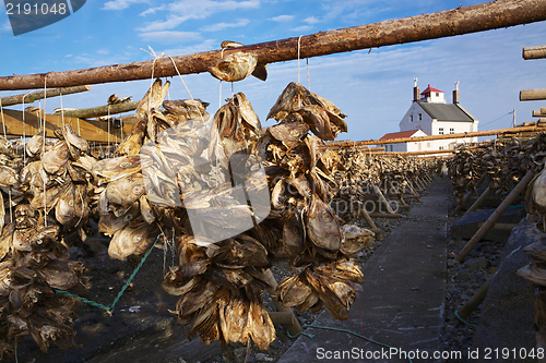 Image of Stock fish