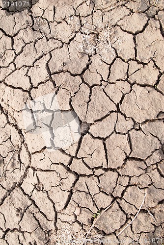 Image of Dry land, dry scaly ground
