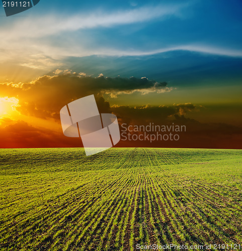 Image of sunset over field