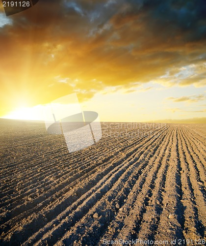 Image of agricultural black field and sunset