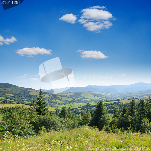 Image of Beautiful green mountain landscape with trees in Carpathians