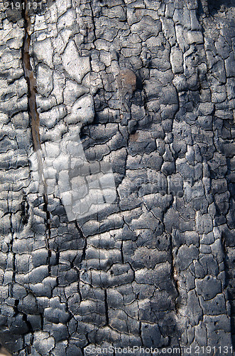 Image of burnt wood texture