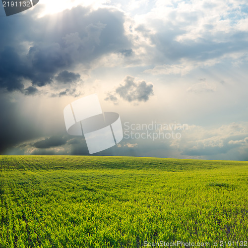 Image of dramatic sky over field
