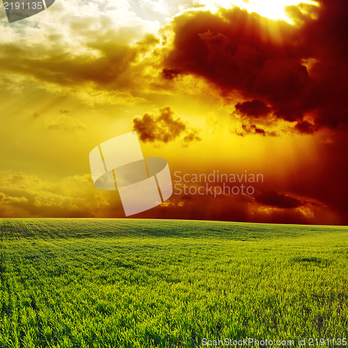 Image of sunset over green field