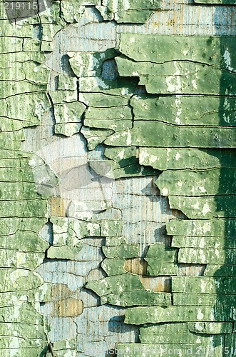 Image of cracked old green paint texture closeup